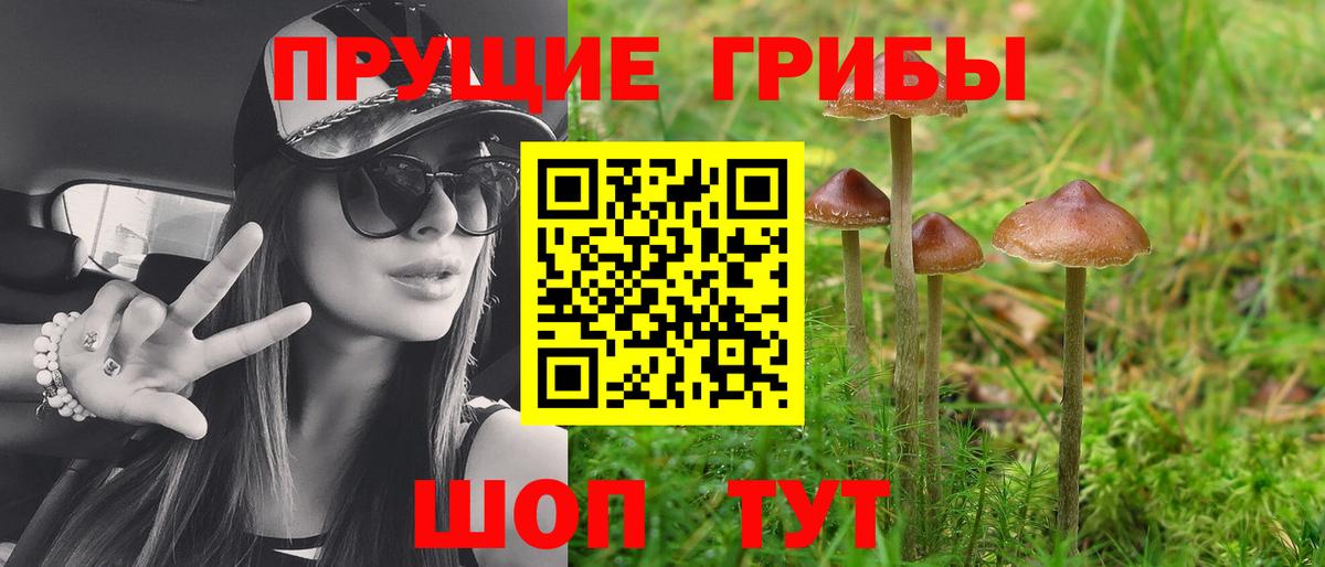 Псилоцибиновые грибы прущие грибы Можга