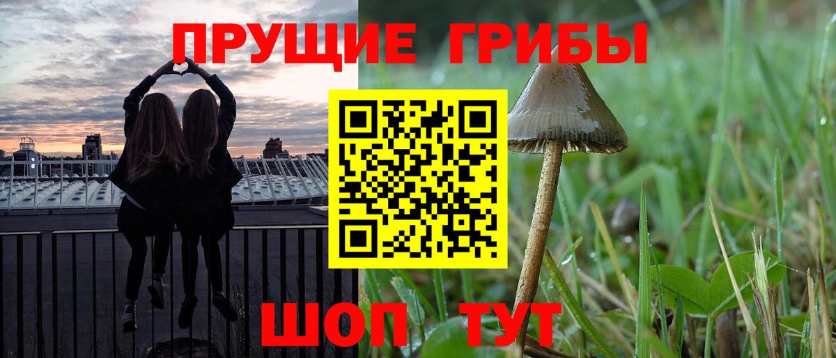 купить   Галлюциногенные грибы прущие грибы  Можга  Вход с VPN  Галлюциногенные грибы Psilocybine cubensis 